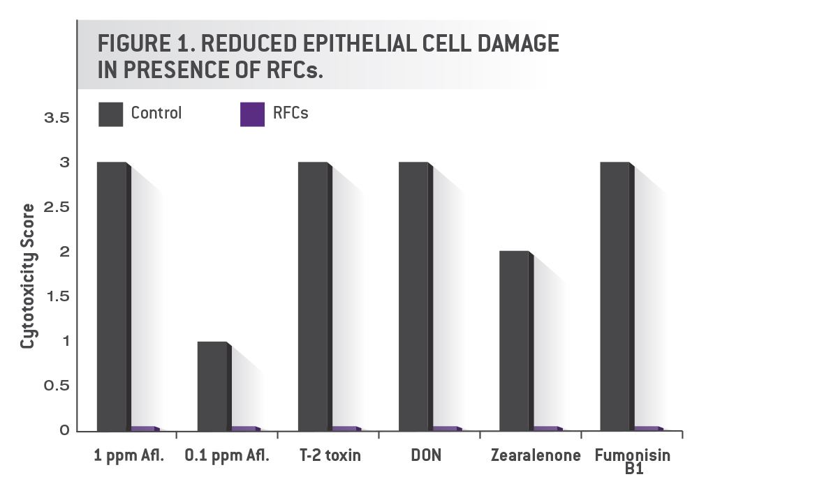 reduce epithelial cell damage in presence of celmanax