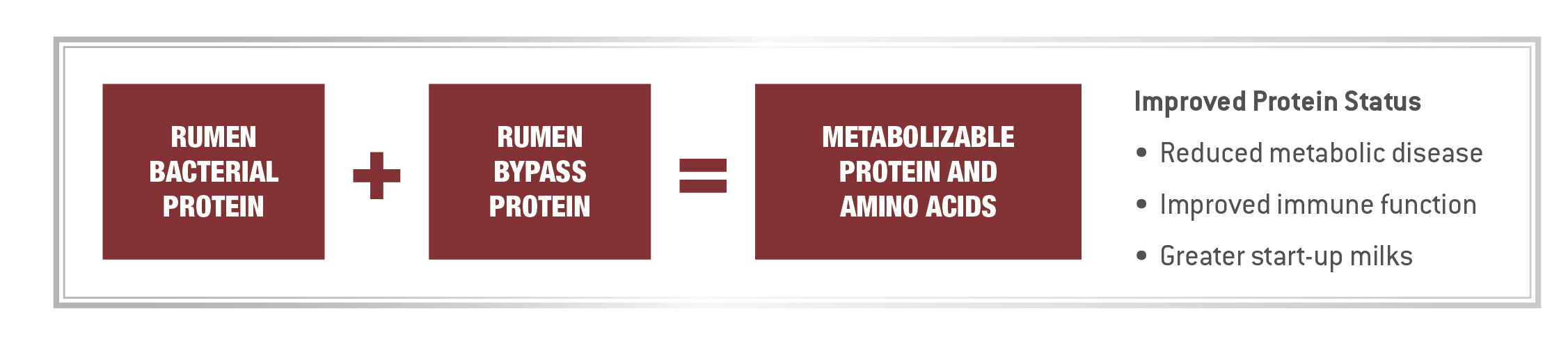 Metabolizable Protein Diagram