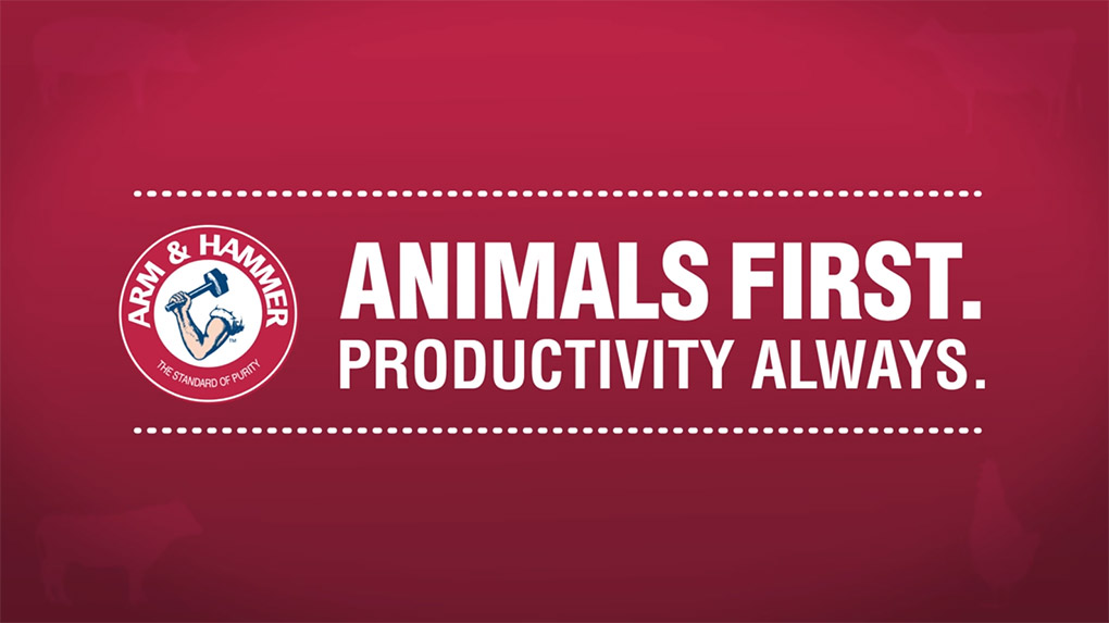 Animals First. Productivity Always.